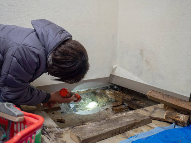 Best Commercial Mold Inspection  in Allentown, PA